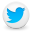 twitter-icon-32